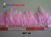 BAT 10 medium.jpg